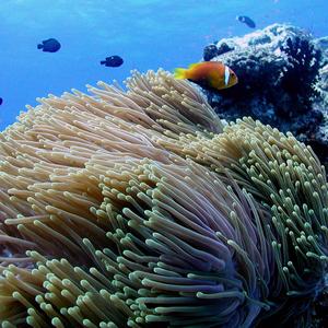 Discover Family Holidays in The Maldives