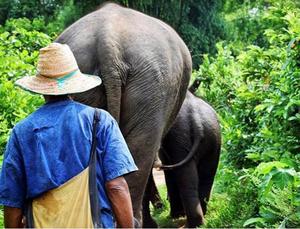 Contrasts of Laos & Cambodia - 14 Days