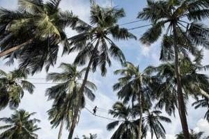 SRI LANKA IN DEPTH WITH THE MALDIVES