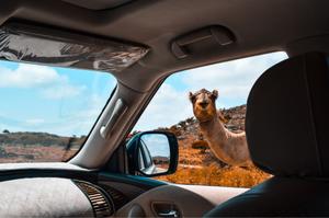 OMAN FAMILY HOLIDAYS