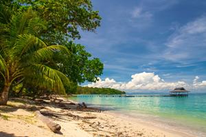 BORNEO BEACH & WILDLIFE HOLIDAYS