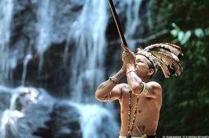IN DEPTH HOLIDAYS IN BORNEO