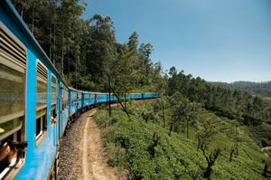 Teas, Trains & Teardrop hotels