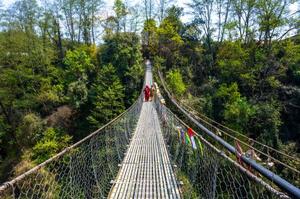 Walking & Wellness in Nepal