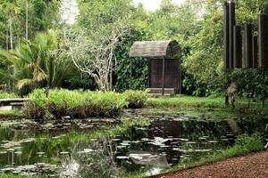 Tour Lunuganga and Brief Garden, Bentota