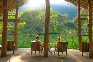 Treetops Jungle Lodge, Buttala