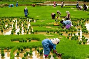 EXPLORE TAMIL NADU WITH KERALAN BEACH