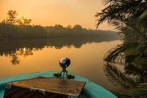 Orangutan's & Dragons in Borneo & Komodo