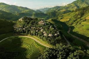 Garrya Mù Cang Chải, Vietnam