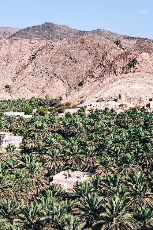 <h3>WHEN TO GO <span class="indend">TO OMAN</span></h3>