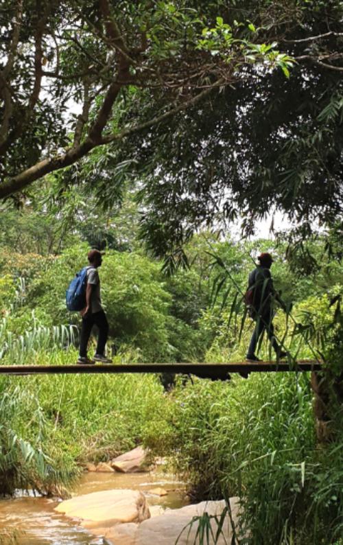 THE BEST NATURE EXPERIENCES IN SRI LANKA