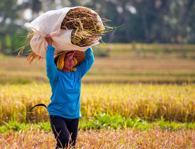 Country walk with a Balinese priest
