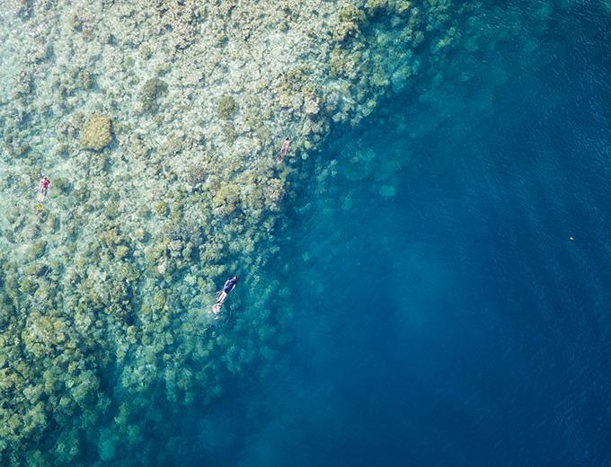 Diving and snorkelling in Bunaken, Sulawesi