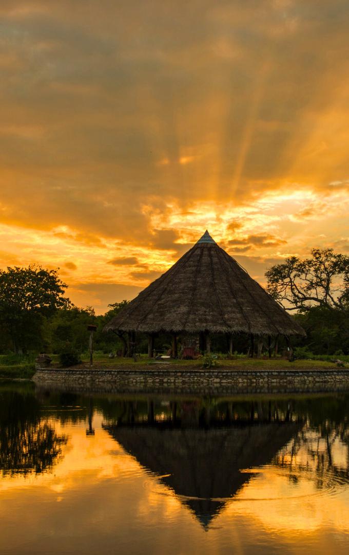 THE BEST WILDLIFE & JUNGLE LODGES IN SRI LANKA