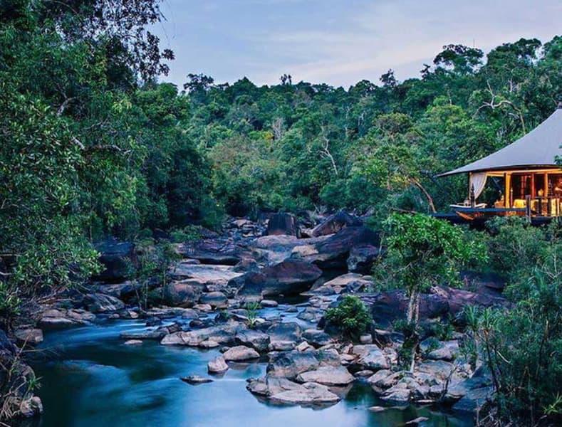 Jungle River Safari in South Asia